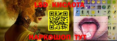 спиды Владимир