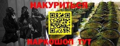 спиды Владимир