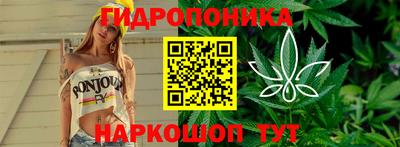 спиды Владимир