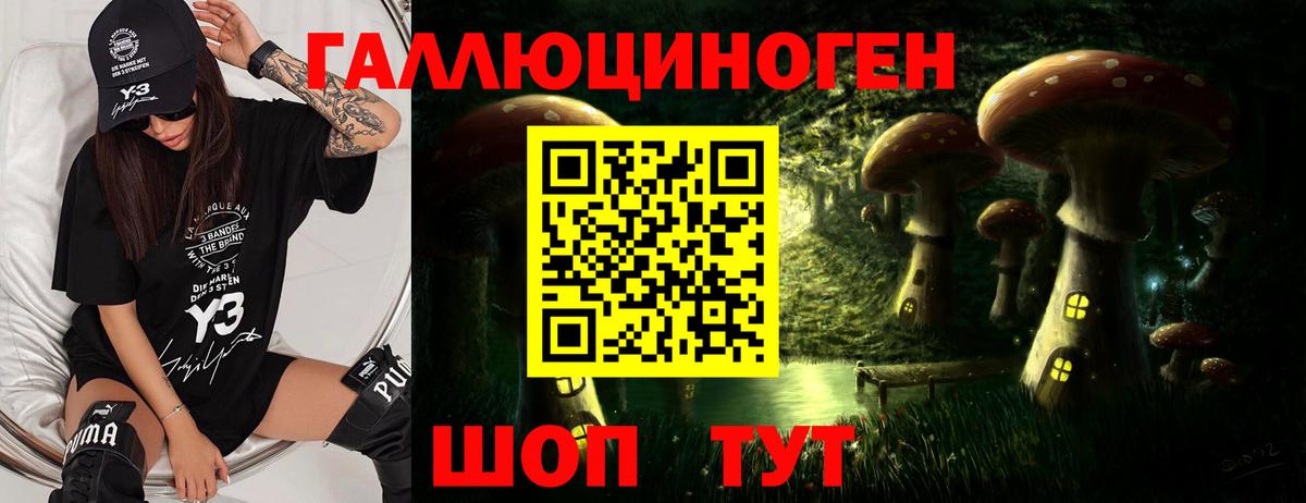 Галлюциногенные грибы мухоморы Белореченск