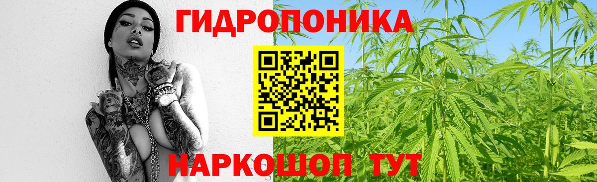 Каннабис сатива  Канабис Bruce Banner  Белореченск  Вход с VPN  Бошки марихуана план 